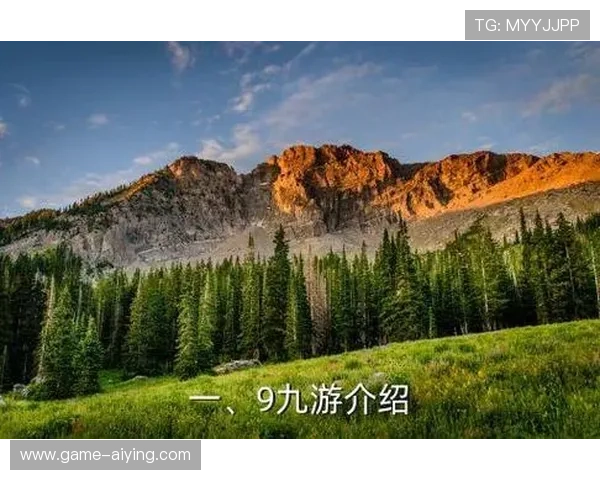 九游会地址最新入口导航,帮助玩家快速登录畅玩游戏体验